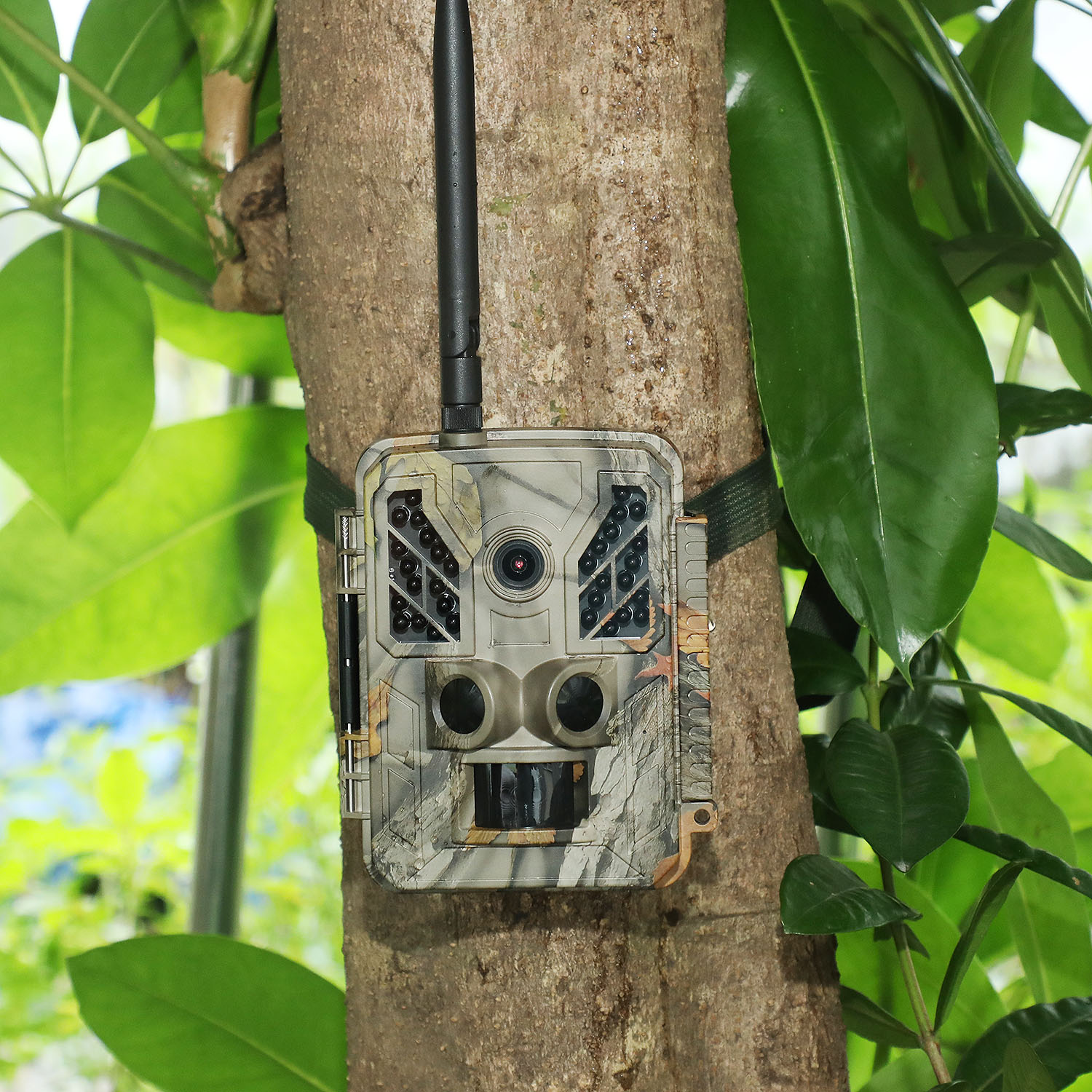 High Quality 36MP Cellular Outdoor Trail Camera APP Control MMS SMTP FTP 4G Scout Camera for Hunting