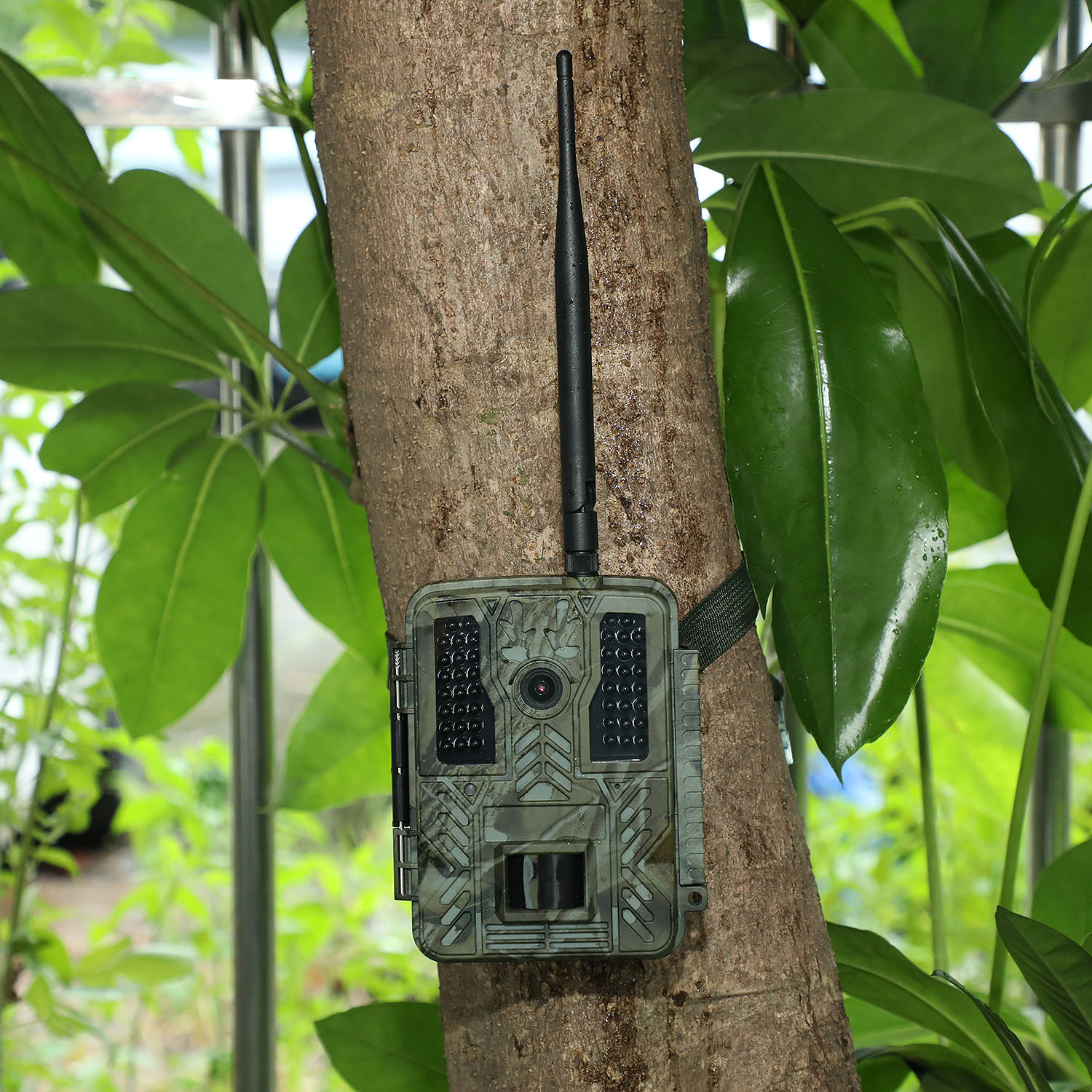 32MP 2.7K Outdoor Wireless Battery Powered WIFI Wildlife Camera 